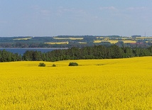 Mobilny zakład produkcji biopaliwa