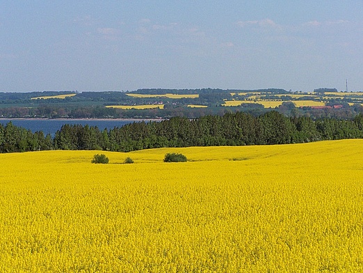 Mobilny zakład produkcji biopaliwa