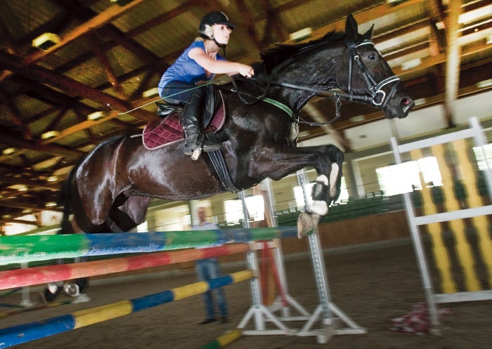 Stadnina w Janowie Podlaskim