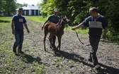 Stadnina w Janowie Podlaskim