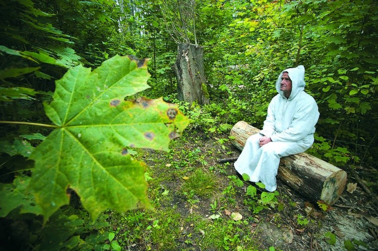 Samotność w lesie