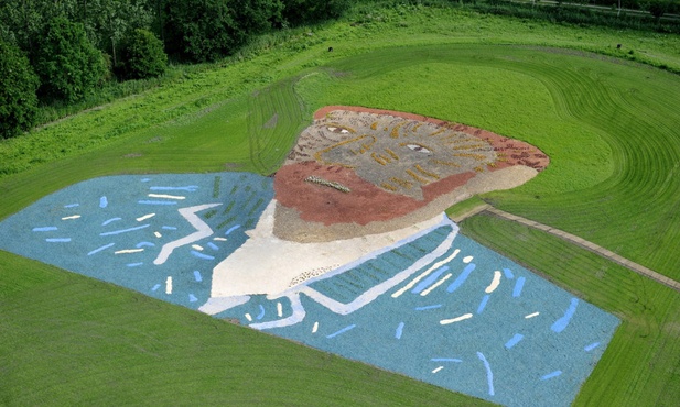 Van Gogh z lotu ptaka