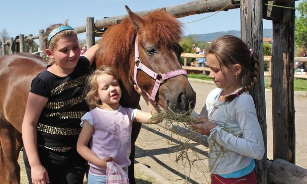 To twoja sprawka, Albert