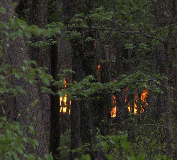 Sybria: Płoną lasy, strażacy giną