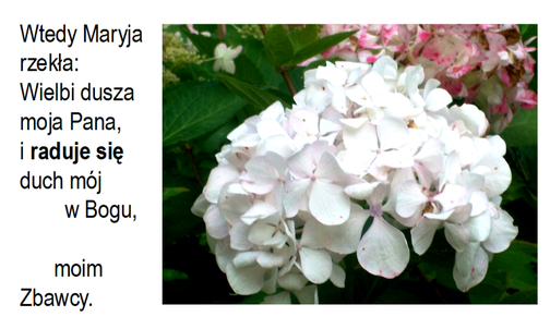 Aby radość mieli
