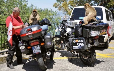 Małpy na Gibraltarze to niesamowite cwaniaki. Widziały, gdzie podróżnicy mają schowane jedzenie, wskoczyły na motocykle i zaczęły dobierać się to toreb. Zdarza się, że ze złości kradną nierozważnym turystom kluczyki, aparaty fotograficzne czy telefony. Podhalańczykom ukradły tylko mocno miętowe menthosy, ale chyba im za bardzo nie smakowały...