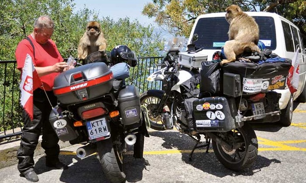 Małpy na Gibraltarze to niesamowite cwaniaki. Widziały, gdzie podróżnicy mają schowane jedzenie, wskoczyły na motocykle i zaczęły dobierać się to toreb. Zdarza się, że ze złości kradną nierozważnym turystom kluczyki, aparaty fotograficzne czy telefony. Podhalańczykom ukradły tylko mocno miętowe menthosy, ale chyba im za bardzo nie smakowały...