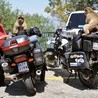 Małpy na Gibraltarze to niesamowite cwaniaki. Widziały, gdzie podróżnicy mają schowane jedzenie, wskoczyły na motocykle i zaczęły dobierać się to toreb. Zdarza się, że ze złości kradną nierozważnym turystom kluczyki, aparaty fotograficzne czy telefony. Podhalańczykom ukradły tylko mocno miętowe menthosy, ale chyba im za bardzo nie smakowały...