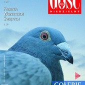 GN 07/2006