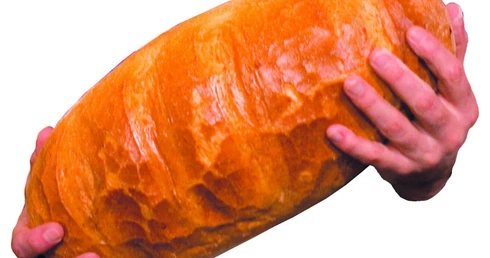 W głowie się nie mieści