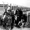 Szychta niewolników * Auschwitz.Naziści i „ostateczne rozwiązanie”(2)
