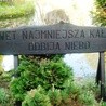 Nawet najmniejsza kałuża odbija niebo