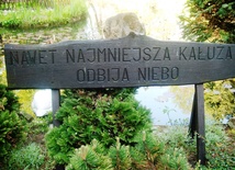 Niebo w kałuży