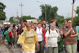  Grupa brązowa jest jedną z najstarszych i największych grup pielgrzymujących na Jasną Górę