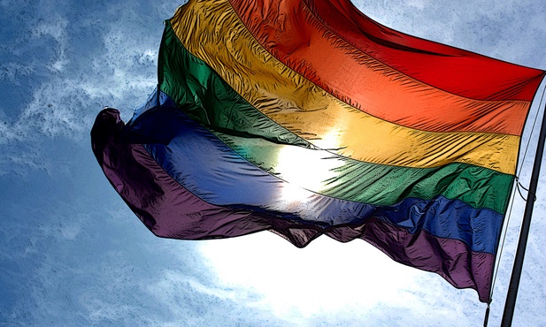 Homopropagandowy Google