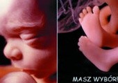 www.aborcja.info.pl