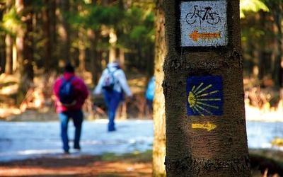  Od pięciu lat Via Regia – podobnie jak Camino de Santiago – należy do grupy kulturowych szlaków Starego Kontynentu