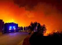 Płoną lasy w Portugalii