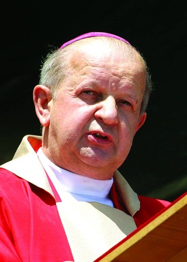 Abp Stanisław Dziwisz w Skoczowie