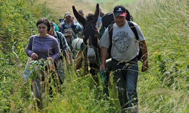 Bezdomni idą do Mamy