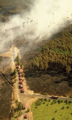 Sierpień 1992 r., widok na ogarnięty ogniem las