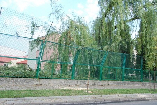 Sprzątanie po burzy w Skierniewicach