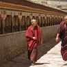 Spłonęli za wolny Tybet