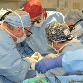 Prof. Siemionow zrewolucjonizuje transplantologię?