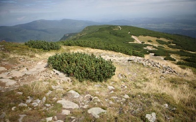 Babia Góra