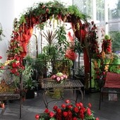 Kutnowskiemu Świętu Róży towarzyszyły wystawy