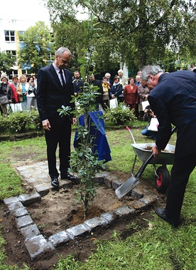  O pochodzącym z Karlina romantyku przypominać będzie także dąb