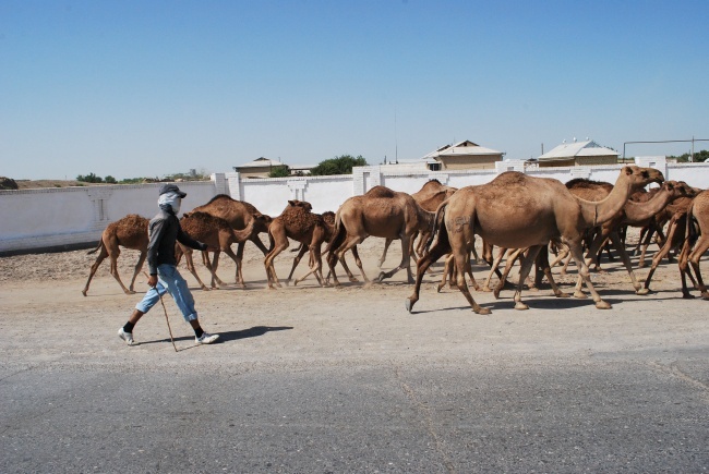 Turkmenistan - kraj, ludzie i rodzący się Kościół