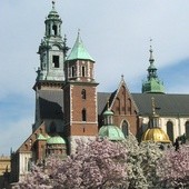 Katedra wawelska