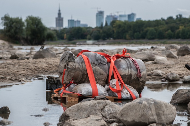 Wyciągają skarby z Wisły