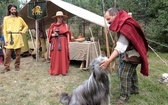 Piknik antyczny w Tychach
