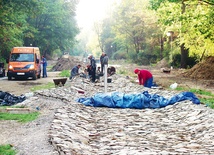 Koryto cieku wysadzane jest łupkowym kamieniem