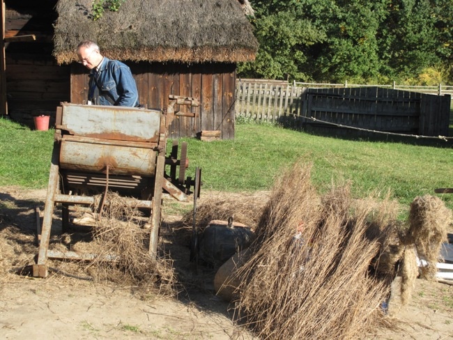 Na polu i na scenie podczas „Festiwalu ziemniaka” w Muzeum Wsi Radomskiej