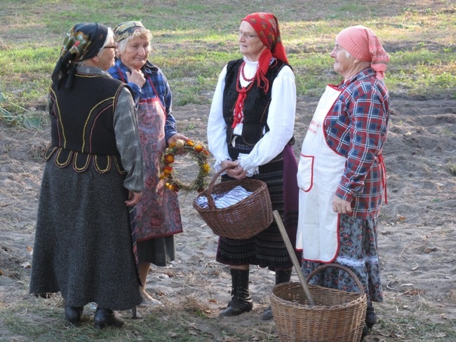 Na polu i na scenie podczas „Festiwalu ziemniaka” w Muzeum Wsi Radomskiej