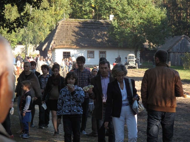 Na polu i na scenie podczas „Festiwalu ziemniaka” w Muzeum Wsi Radomskiej