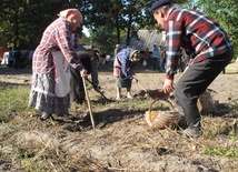 Na polu i na scenie podczas „Festiwalu ziemniaka” w Muzeum Wsi Radomskiej