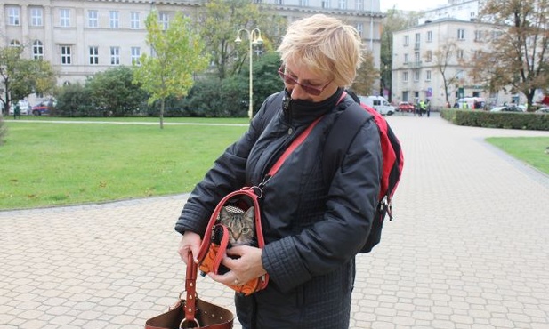 Ewakuacja ludzi i zwierząt 