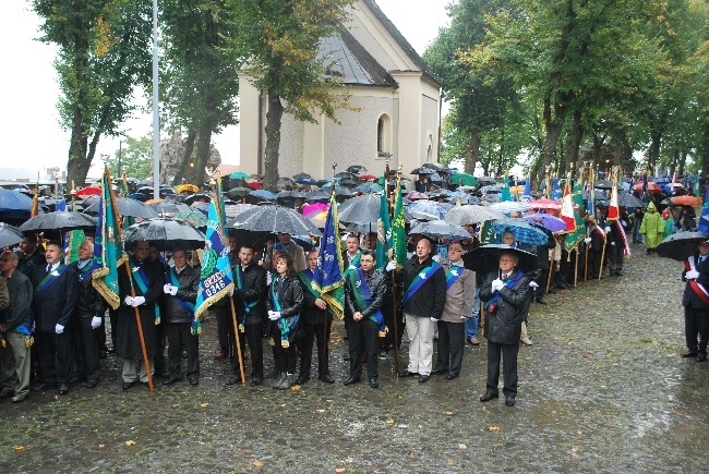 Gołębie, hodowcy i orkiestry kalwaryjskie