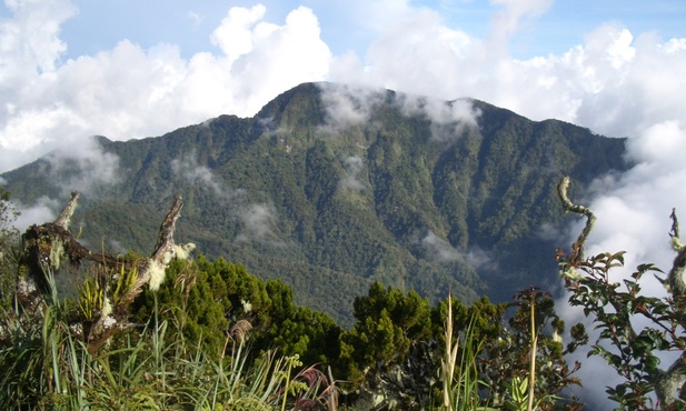 Mindanao