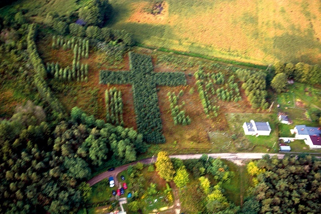 Taki widok papieskiego lasu miał szybujący na paralotni autor zdjęcia