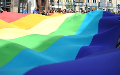 Dzieci obiektem agresji homopropagandystów
