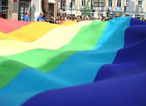 Dzieci obiektem agresji homopropagandystów