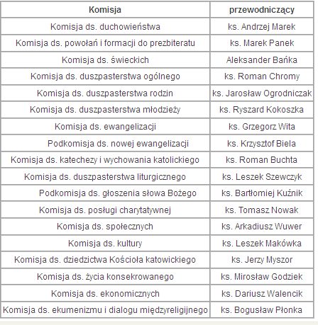 Synod: Znamy podział komisji 