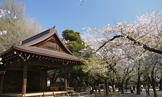 Japonia