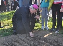 Pola nadziei w Darłowie