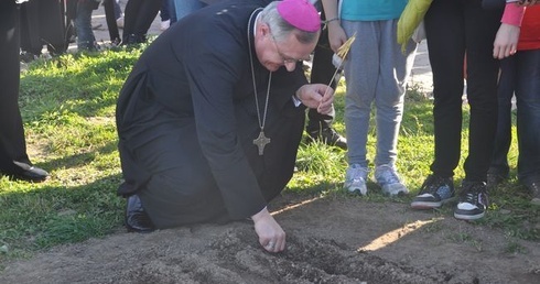 Pola nadziei w Darłowie